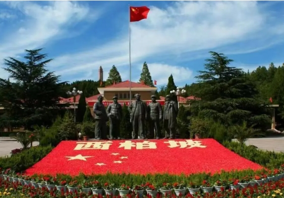 67e51c1fbdd40.jpg