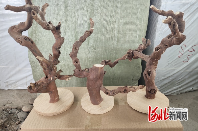 79da092e-d4be-44bc-88b6-83b27477e6bc.jpg