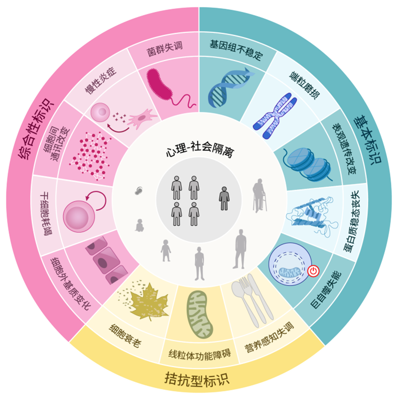 89d79bac-6006-489a-9d5b-12a2845c2f43.png