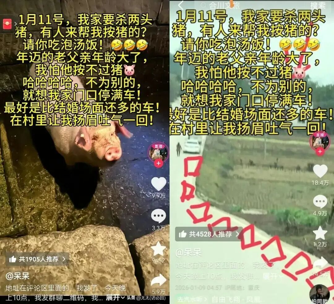 微信图片_2026-01-16_163622_336.jpg