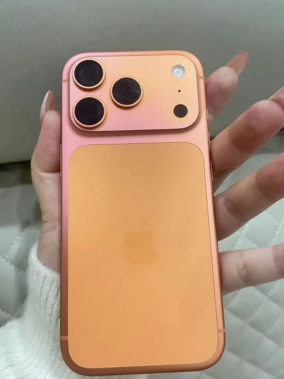 微信图片_2026-03-04_092110_537.jpg